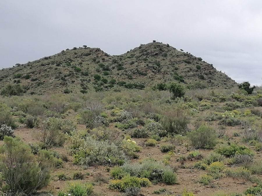 6 Bedroom Property for Sale in Willowmore Eastern Cape